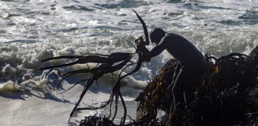 Los mapuches que viven del mar y la agricultura en el sur de Chile