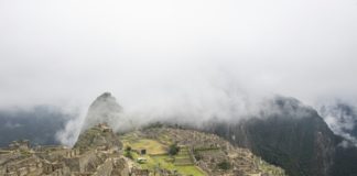 Avistan osos de anteojos en ciudadela inca de Machu Picchu