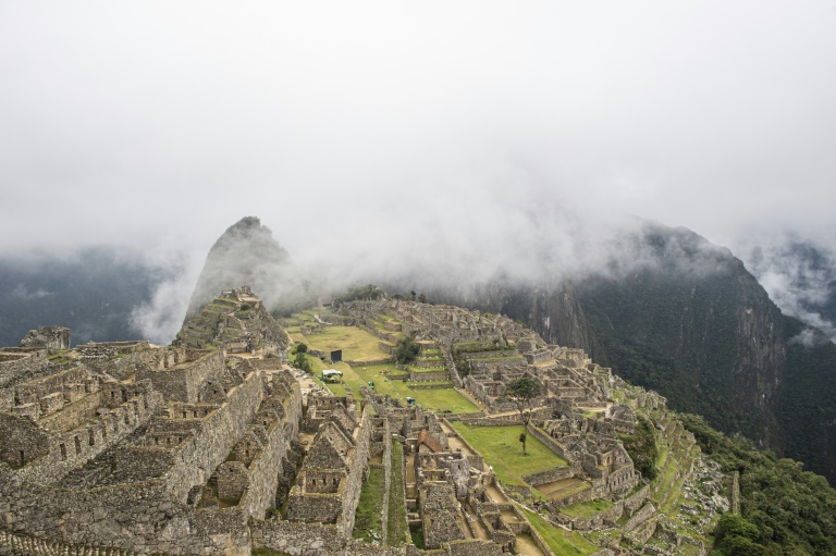 Avistan osos de anteojos en ciudadela inca de Machu Picchu