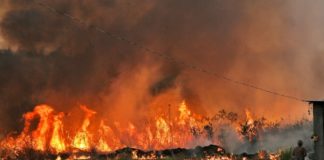 Incendios forestales aumentaron en Brasil durante 2020