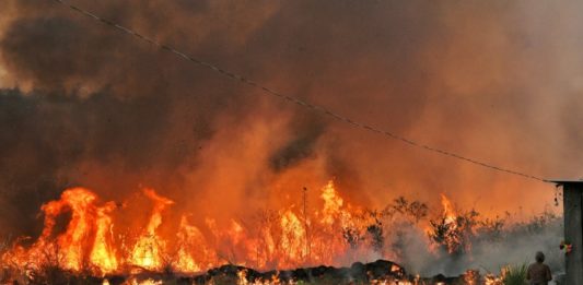 Incendios forestales aumentaron en Brasil durante 2020