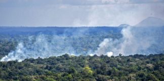 BID aporta USD 20 millones para fondo de desarrollo de la Amazonía