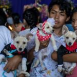 Mascotas de Nicaragua reciben bendicion de San Lázaro