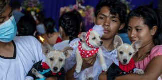 Mascotas de Nicaragua reciben bendicion de San Lázaro