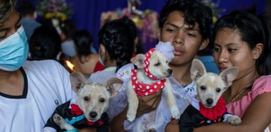 Mascotas de Nicaragua reciben bendicion de San Lázaro
