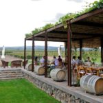 Pandemia aumenta consumo de vinos y turismo local en Argentina
