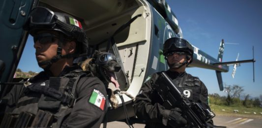 Perros policía al servicio de la lucha contra el covid-19