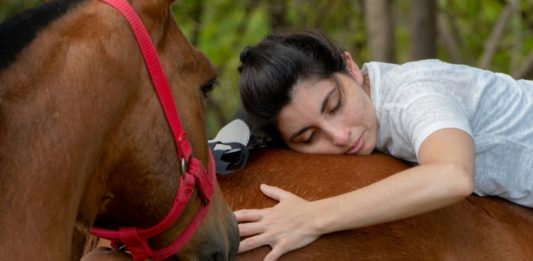 El lugar donde los caballos curan dolores y tristezas