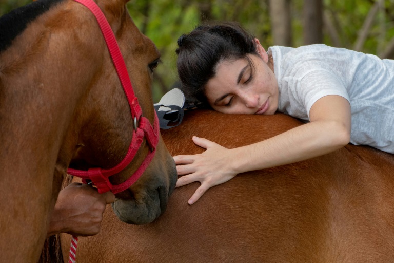 El lugar donde los caballos curan dolores y tristezas