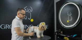 Mercado de mascotas se dispara en Brasil pese a la pandemia