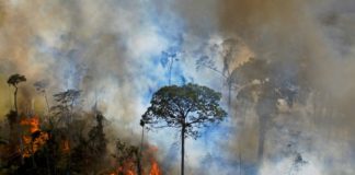 Piden a Brasil metas climáticas más ambiciosas