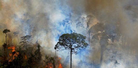 Piden a Brasil metas climáticas más ambiciosas