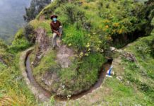 Siembran agua con ingeniería prehispánica en montañas de Lima