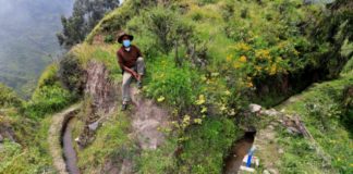 Siembran agua con ingeniería prehispánica en montañas de Lima