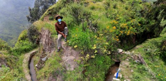 Siembran agua con ingeniería prehispánica en montañas de Lima