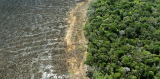 Deforestación en la Amazonía brasileña aumentó en abril