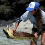 El rastreo que preserva la vida silvestre de las Galápagos