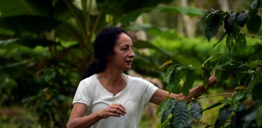La fuerza invisible de los campos y el océano en las Galápagos