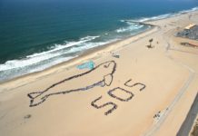 Programa “Kids Ocean Day” será virtual en 2021