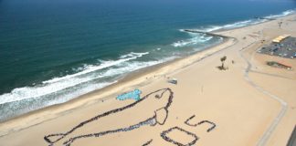 Programa “Kids Ocean Day” será virtual en 2021