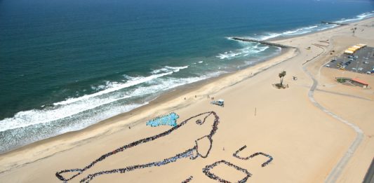 Programa “Kids Ocean Day” será virtual en 2021