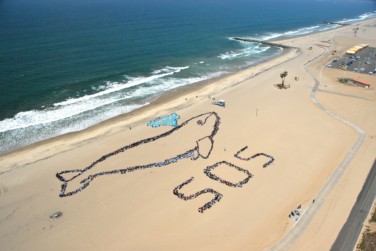 Programa “Kids Ocean Day” será virtual en 2021