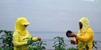 Reclusas en El Salvador aprenden técnicas agrícolas