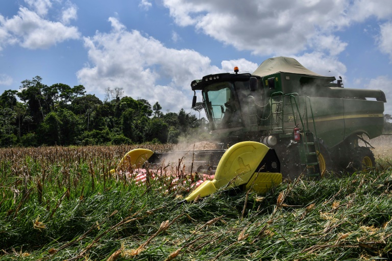 Sequía amenaza producción de energía y agricultura en Brasil