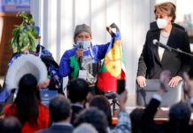 Académica mapuche presidirá la Convención Constitucional de Chile