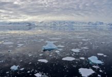 La Antártida bate récord de altas temperaturas registrada
