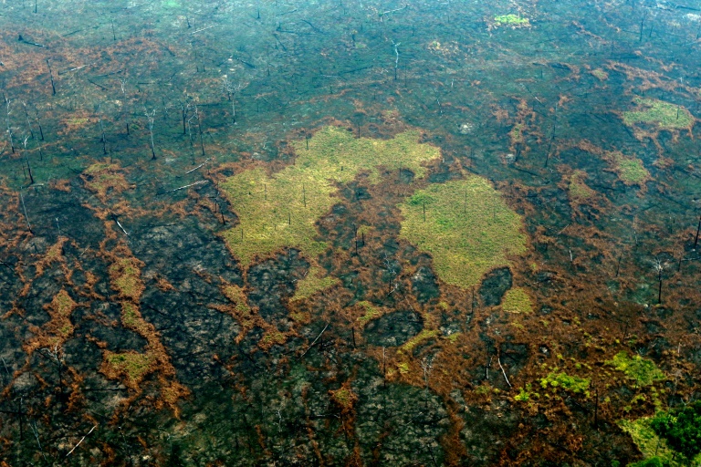 Deforestación en Amazonia brasileña bate nuevo récord