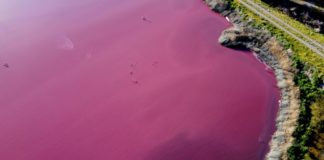 Polución de industrias pesqueras en Argentina contamina laguna