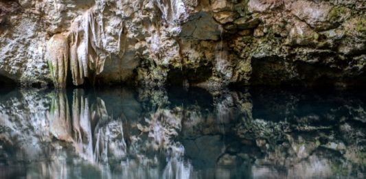 Acusan a granjas porcícolas de contaminar cenotes mayas en Yucatán