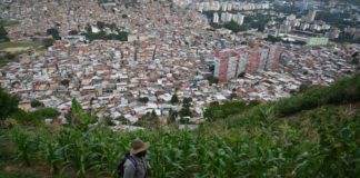 Huertos completan la dieta en barriadas de Caracas