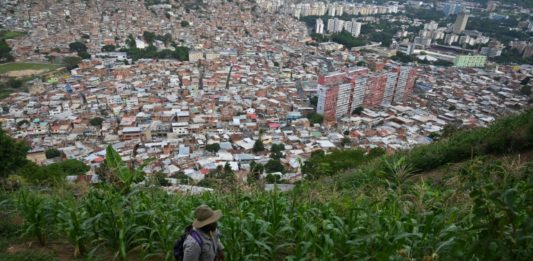 Huertos completan la dieta en barriadas de Caracas