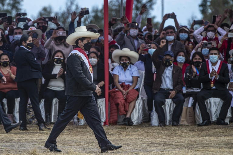 Sondeo revela percepción de peruanos con administración de Castillo