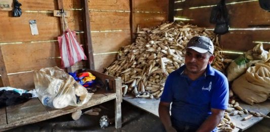 El cambio climático acelera la migración en Centroamérica