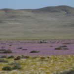 El laboratorio natural en Chile para un futuro con cambio climático