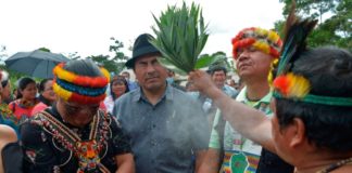 Indígenas alertan sobre consecuencias de destruccion de la Amazonia