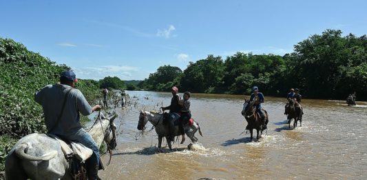 Nicaragüenses cruzan hacia Honduras a vacunarse contra covid-19