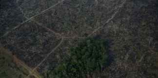 Bolsonaro niega los hechos sobre la destrucción en la Amazonía
