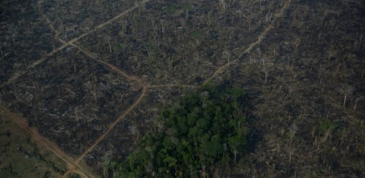 Bolsonaro niega los hechos sobre la destrucción en la Amazonía