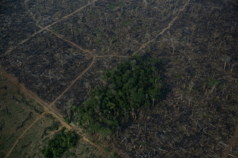 Bolsonaro niega los hechos sobre la destrucción en la Amazonía
