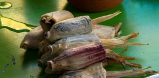 Cocineras colombianas ganan premio por mejor libro de recetas