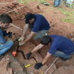 Descubren nueva especie de dinosaurio en Brasil