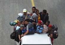 Rescatan en México a 600 inmigrantes que viajaban en tráileres