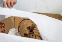 Desentierran momia de unos 1.200 años en Perú