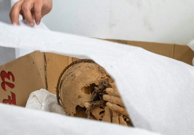 Desentierran momia de unos 1.200 años en Perú