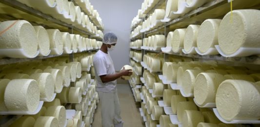 El queso de Brasil se consagra en el podio mundial