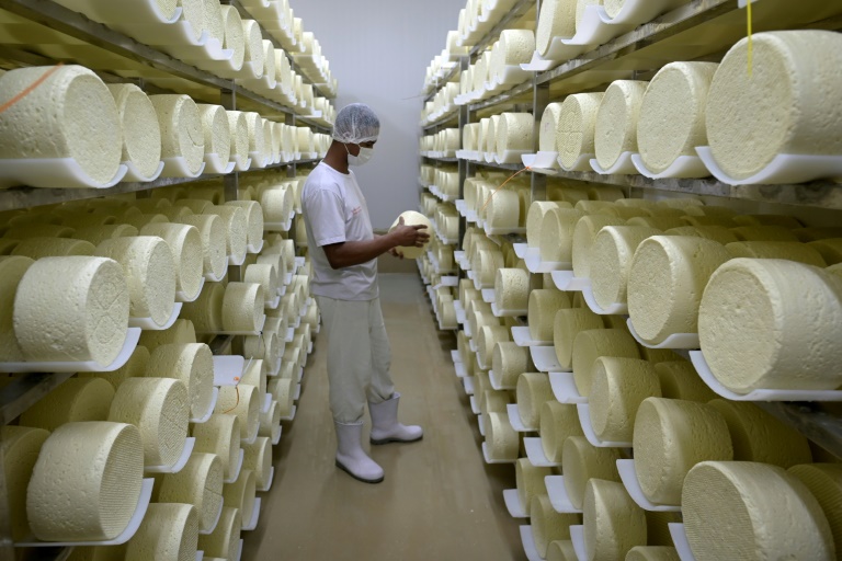 El queso de Brasil se consagra en el podio mundial